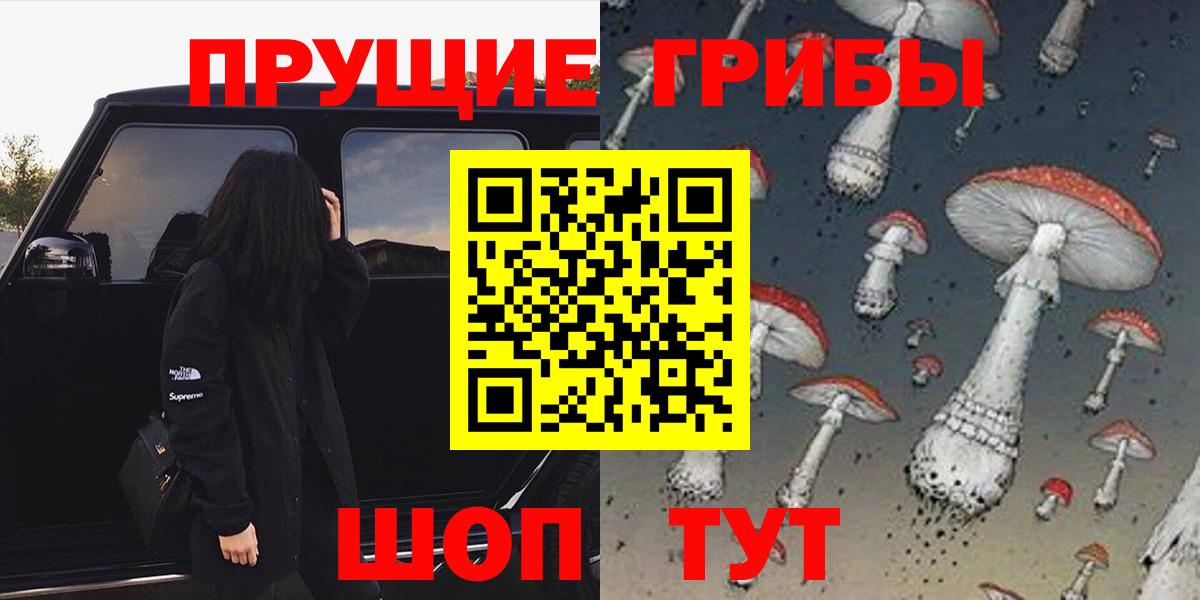 Элиста  Галлюциногенные грибы Cubensis  Вход с VPN  где купить наркоту  Галлюциногенные грибы Cubensis 